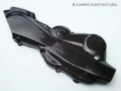 Carbon Ducati Streetfighter
