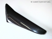 Carbon Ducati Monster 696