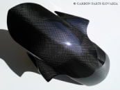 Carbon BMW S1000RR