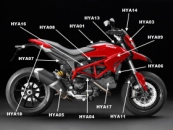 Carbon Ducati Hypermotard