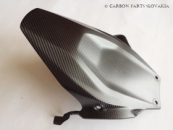 Carbon Ducati Panigale 899